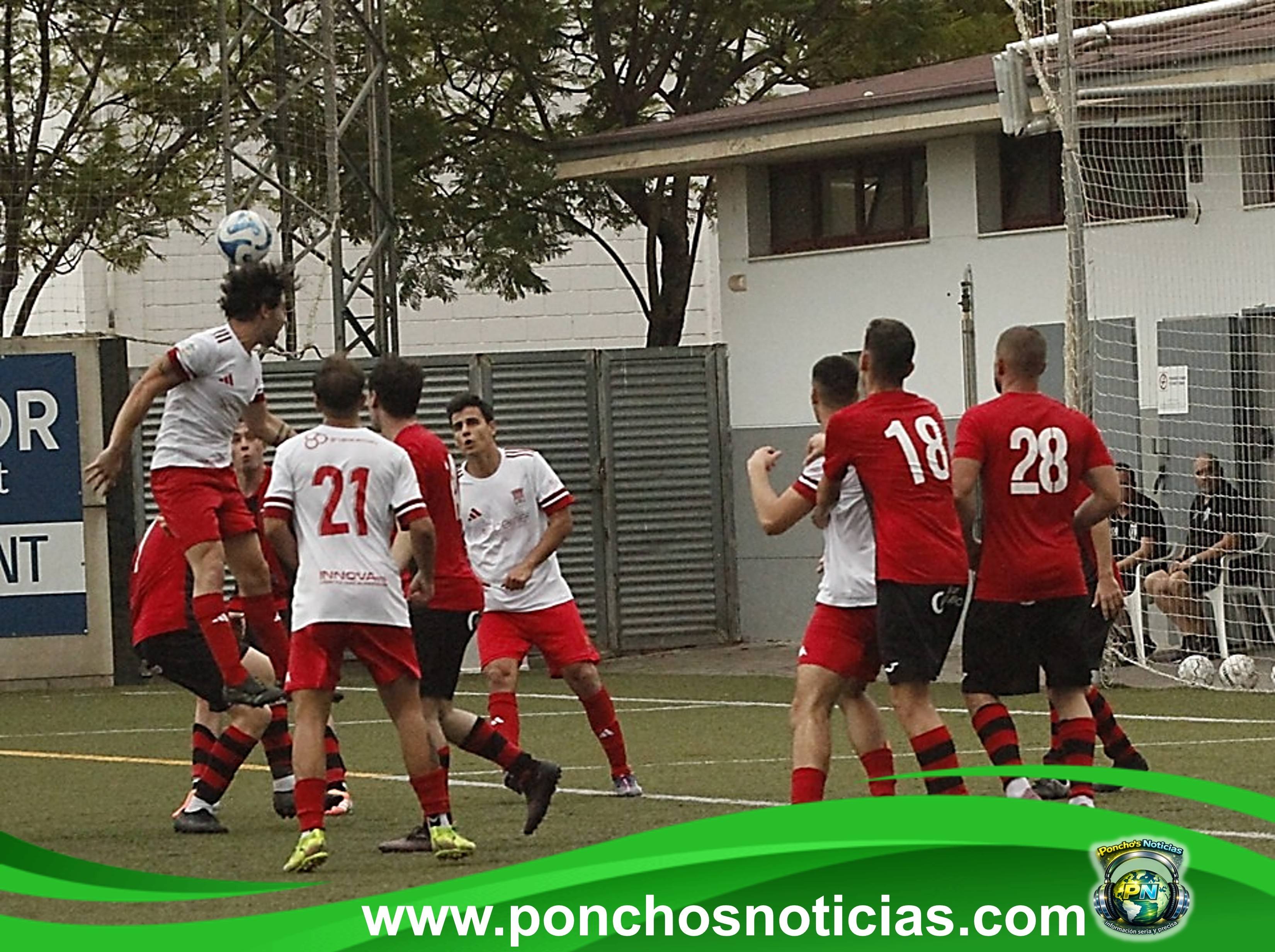 Imagen 6