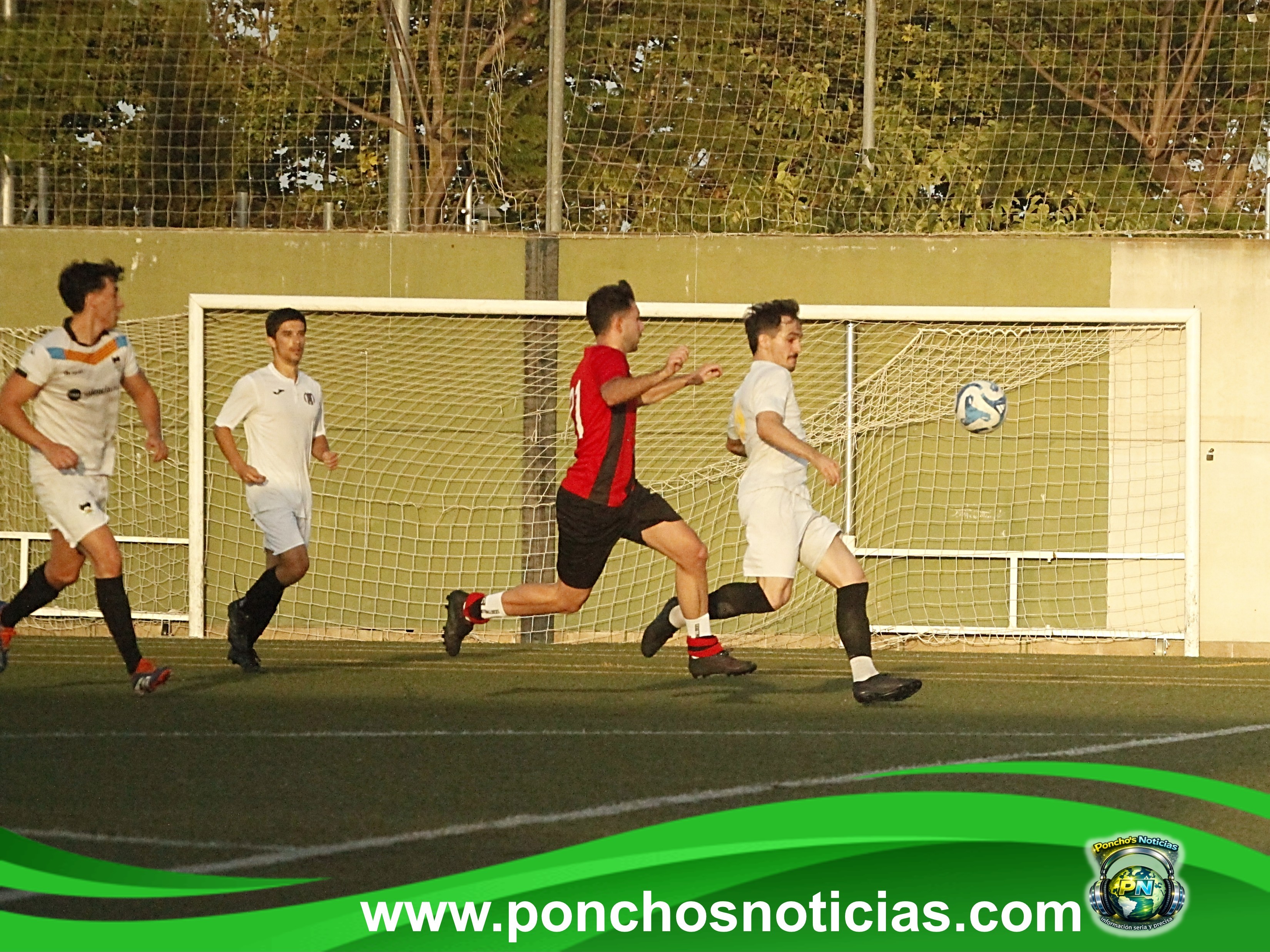 Imagen 5