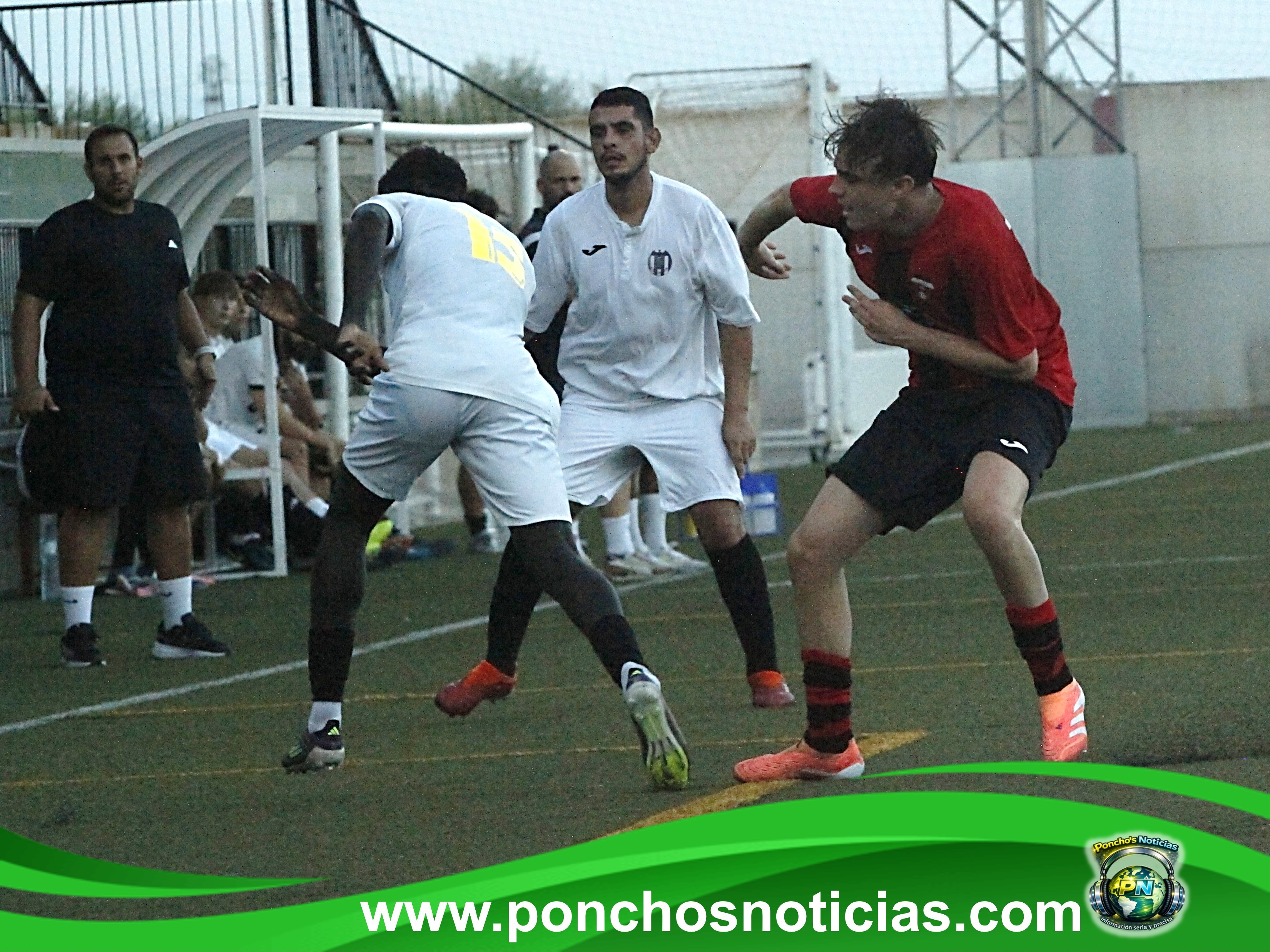 Imagen 15