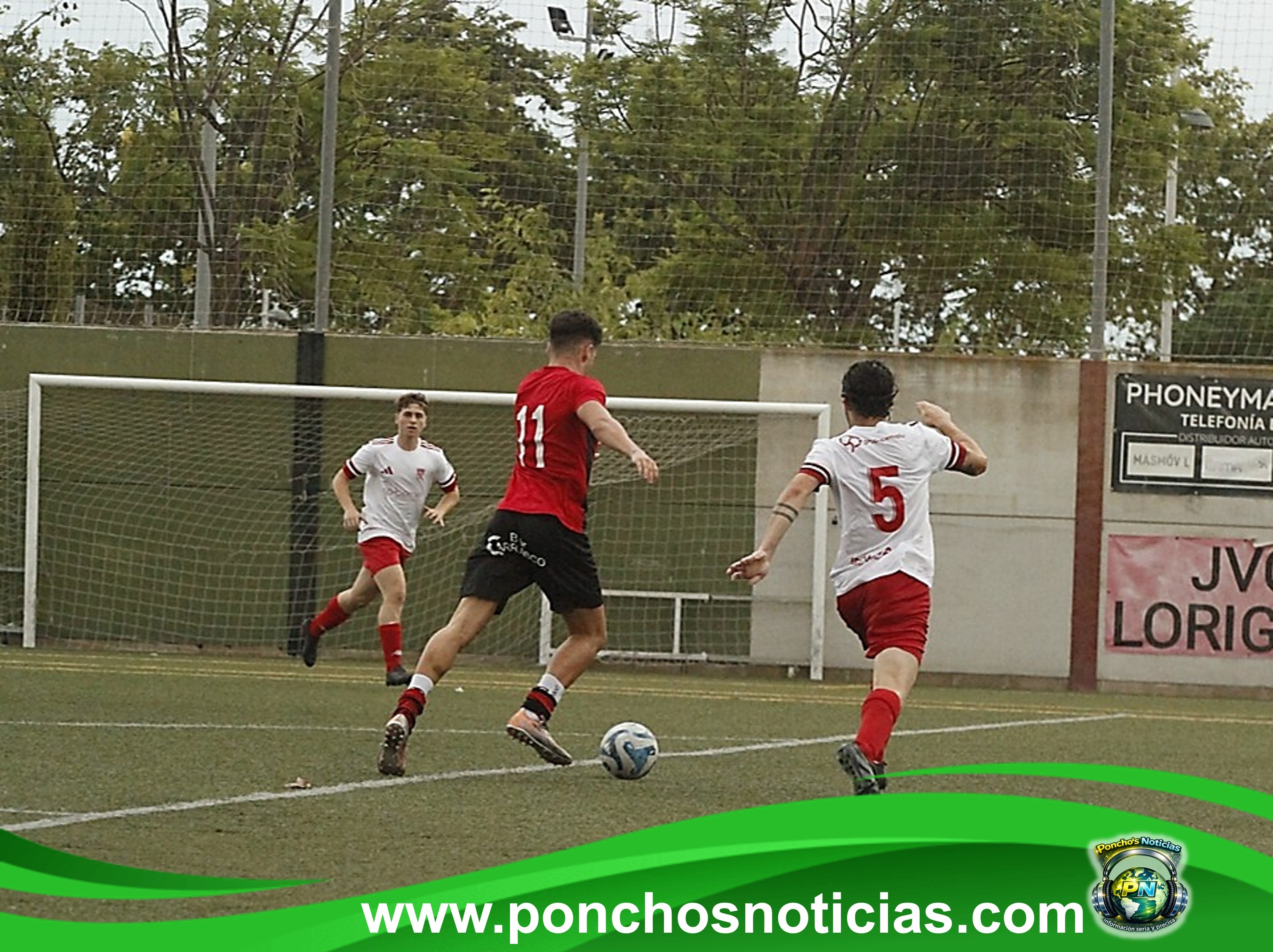 Imagen 15