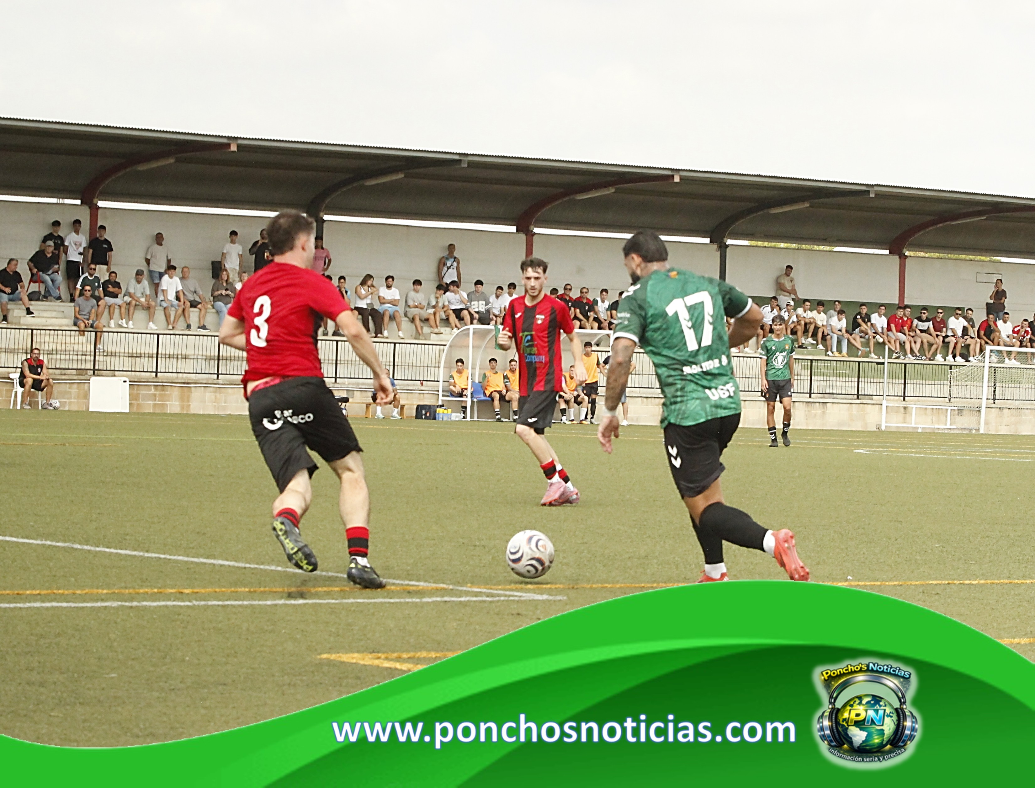 Imagen 15